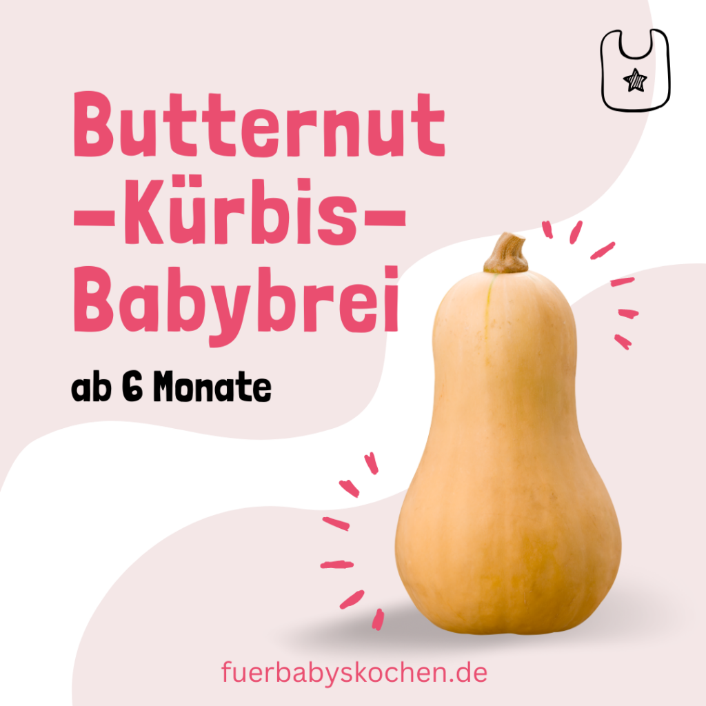 Butternut Kürbis Babybrei Beikost-Rezept ab Beikostreife (ca. 6 Monate)